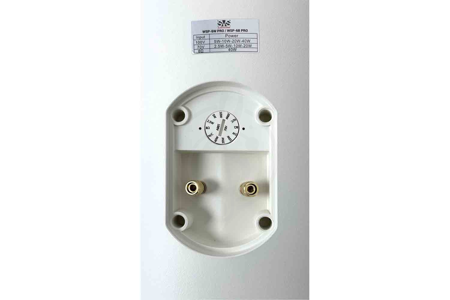 Громкоговоритель настенный SVS Audiotechnik WSP-6W PRO - Трансляционная акустическая система, SVS Audiotechnik WSP-6W PRO в магазине Доминанта мьюзик - фото 3
