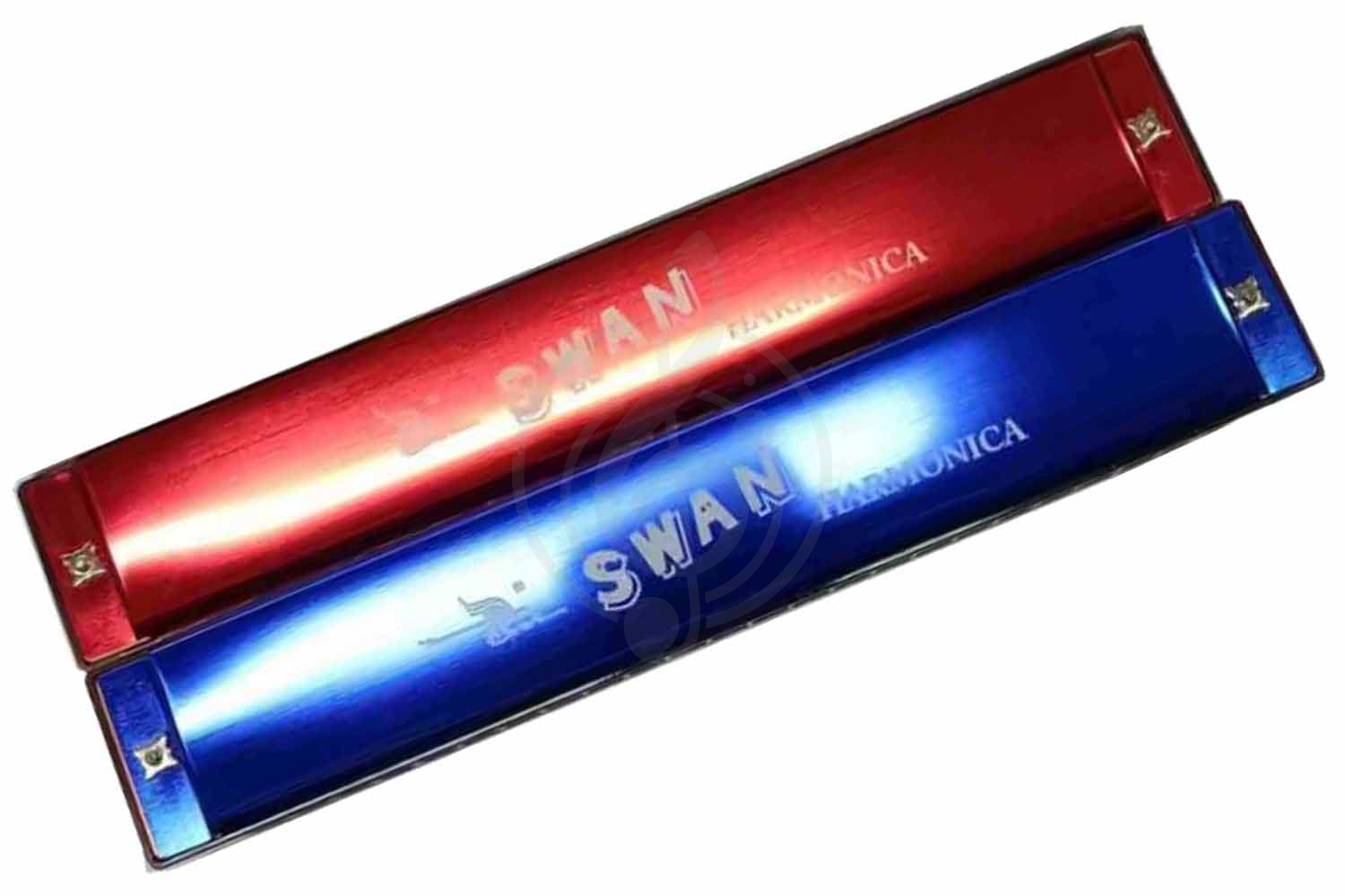 Диатоническая губная гармошка Swan SW24-2 - Губная гармошка тремоло, Swan SW24-2 в магазине DominantaMusic - фото 1