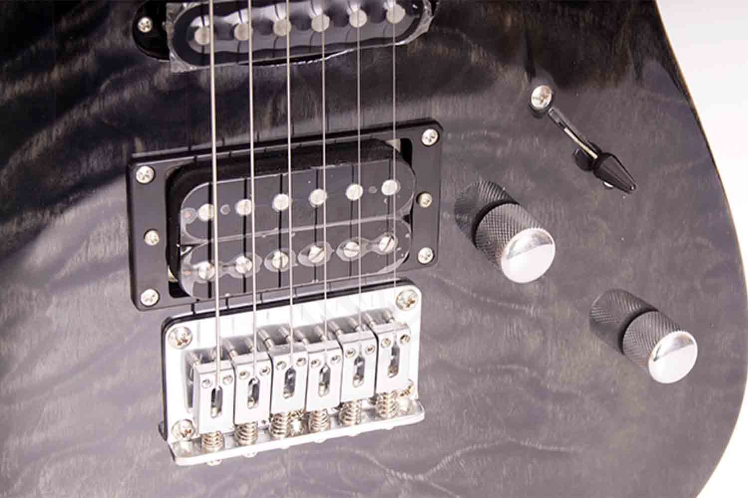 Электрогитара Stratocaster Swing P-2S-BK - Электрогитара, Swing P-2S-BK в магазине DominantaMusic - фото 3