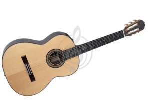 Изображение TAKAMINE TH8SS