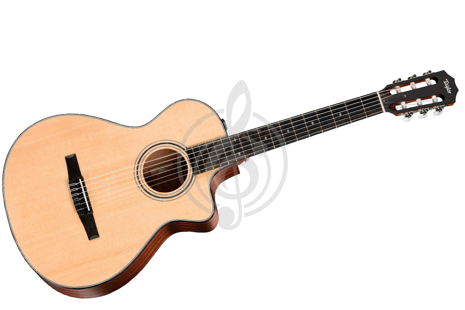 Электроакустическая гитара Классические гитары 4/4 TAYLOR TAYLOR 312ce-N 300 SeriesNylon - Электроакустическая классическая гитара 312ce-N - фото 1