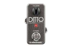 Изображение TC ELECTRONIC DITTO LOOPER - Педаль эффектов