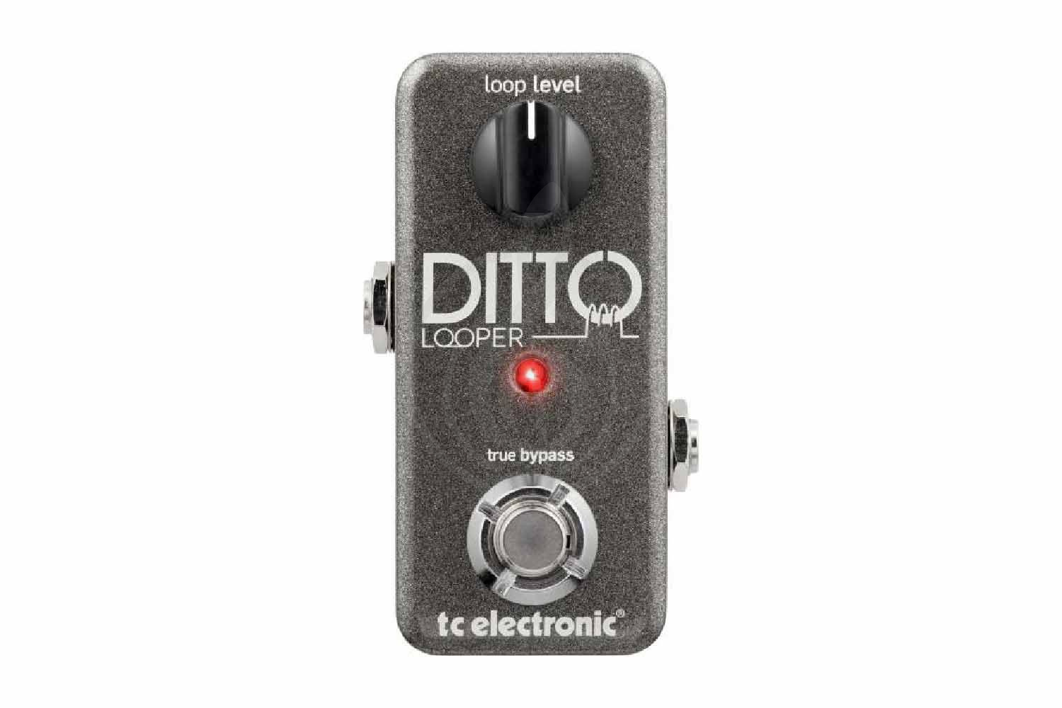 Педаль для электрогитар TC ELECTRONIC DITTO LOOPER - Педаль эффектов, TC ELECTRONIC DITTO LOOPER в магазине Доминанта мьюзик - фото 1