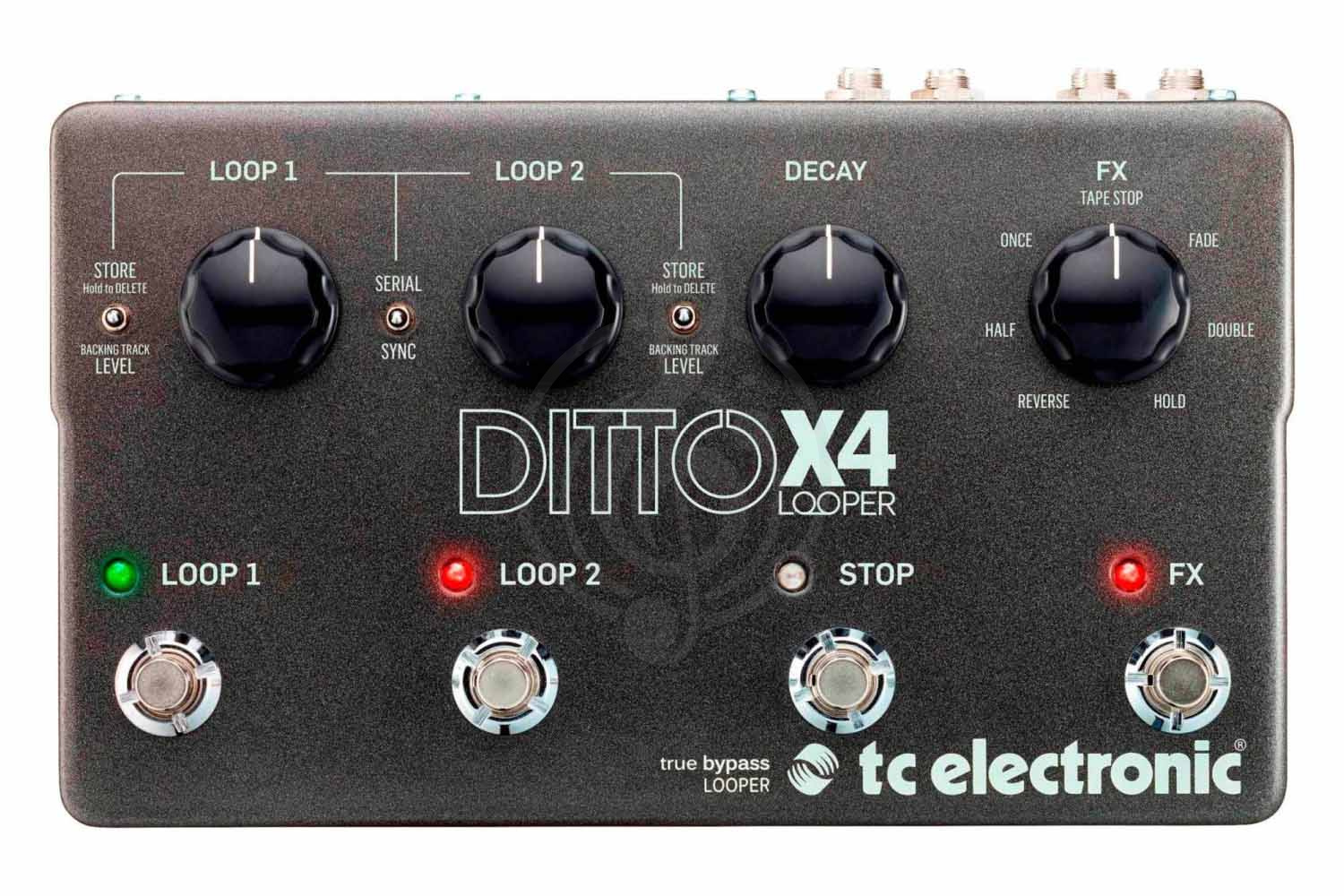 Педаль для электрогитар TC Electronic Ditto x4 Looper - Педаль лупер, TC ELECTRONIC Ditto x4 Looper в магазине Доминанта мьюзик - фото 1