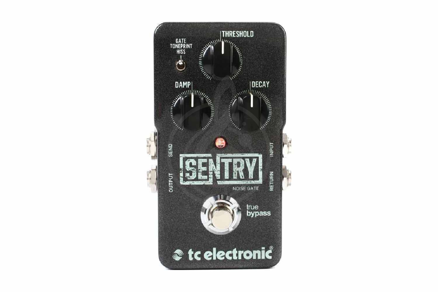 Педаль для электрогитар TC ELECTRONIC Sentry Noise Gate - Педаль эффектов, TC ELECTRONIC Sentry Noise Gate в магазине Доминанта мьюзик - фото 1