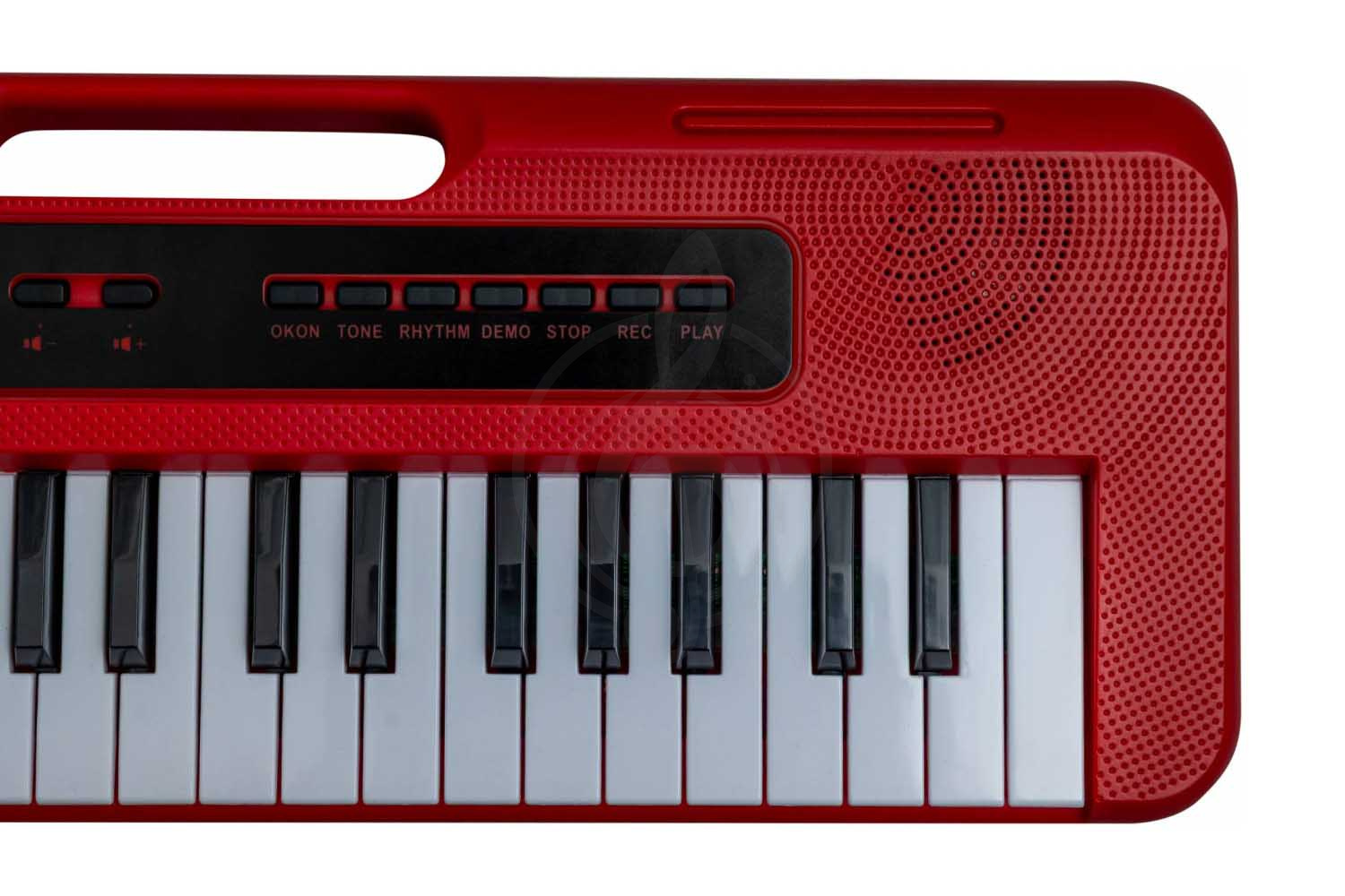 Детский синтезатор TERRIS TK-110 RD - Синтезатор,  TK-110 RD в магазине DominantaMusic - фото 6