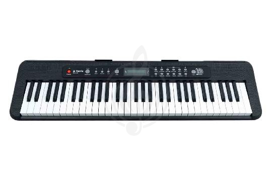 Изображение Синтезатор Terris TK-405 PACK