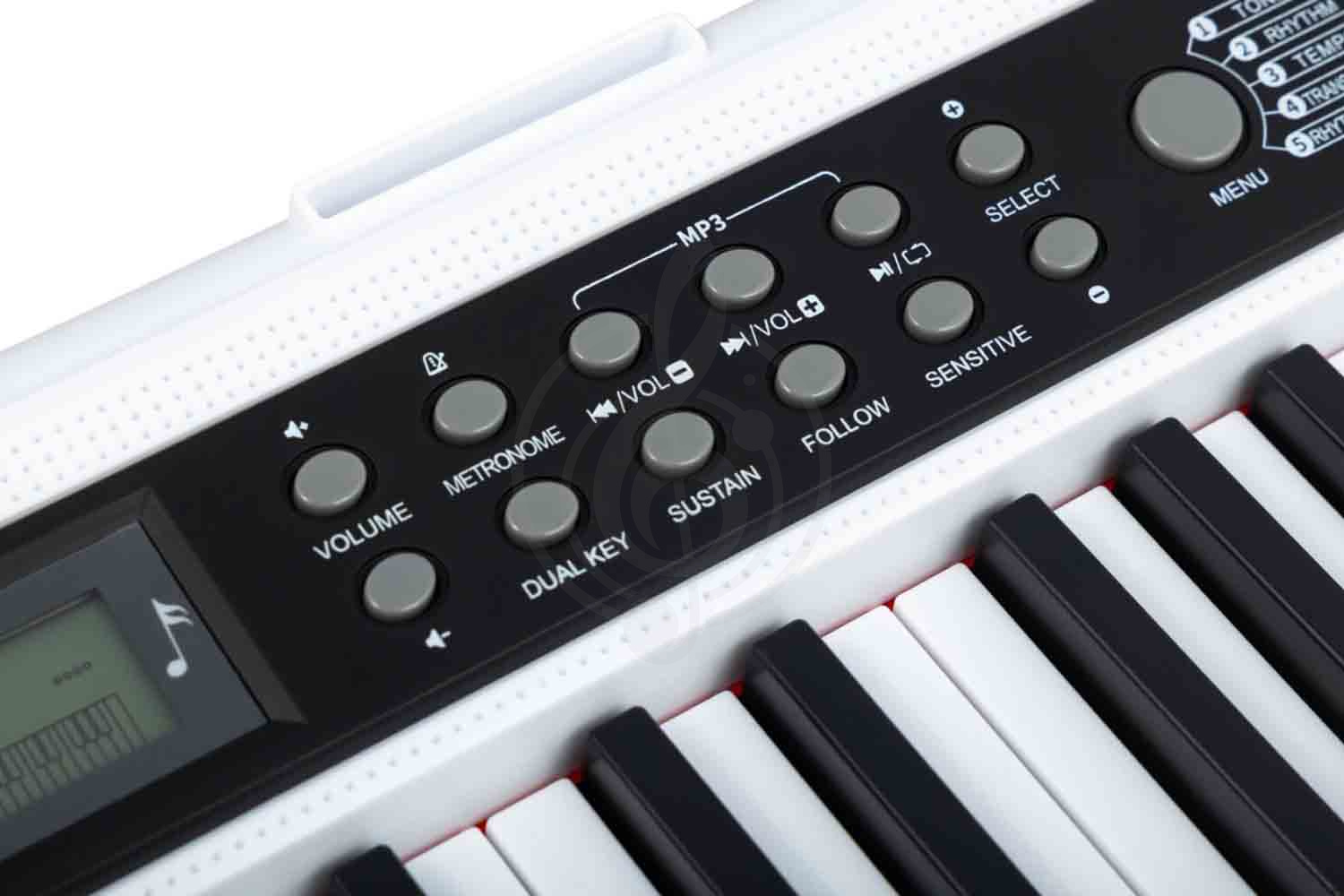 Домашний синтезатор TERRIS TK-405 WH - Синтезатор, Terris TK-405 WH в магазине Доминанта мьюзик - фото 6