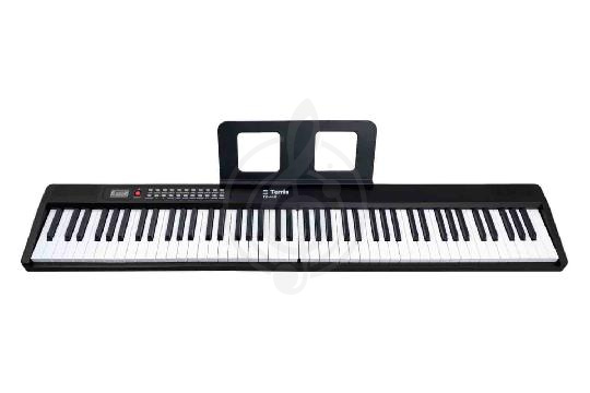 Изображение Синтезатор Terris TK-440 PACK