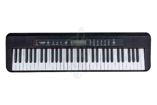 Casio CTK 2500 Casio CTK 2500 10 490