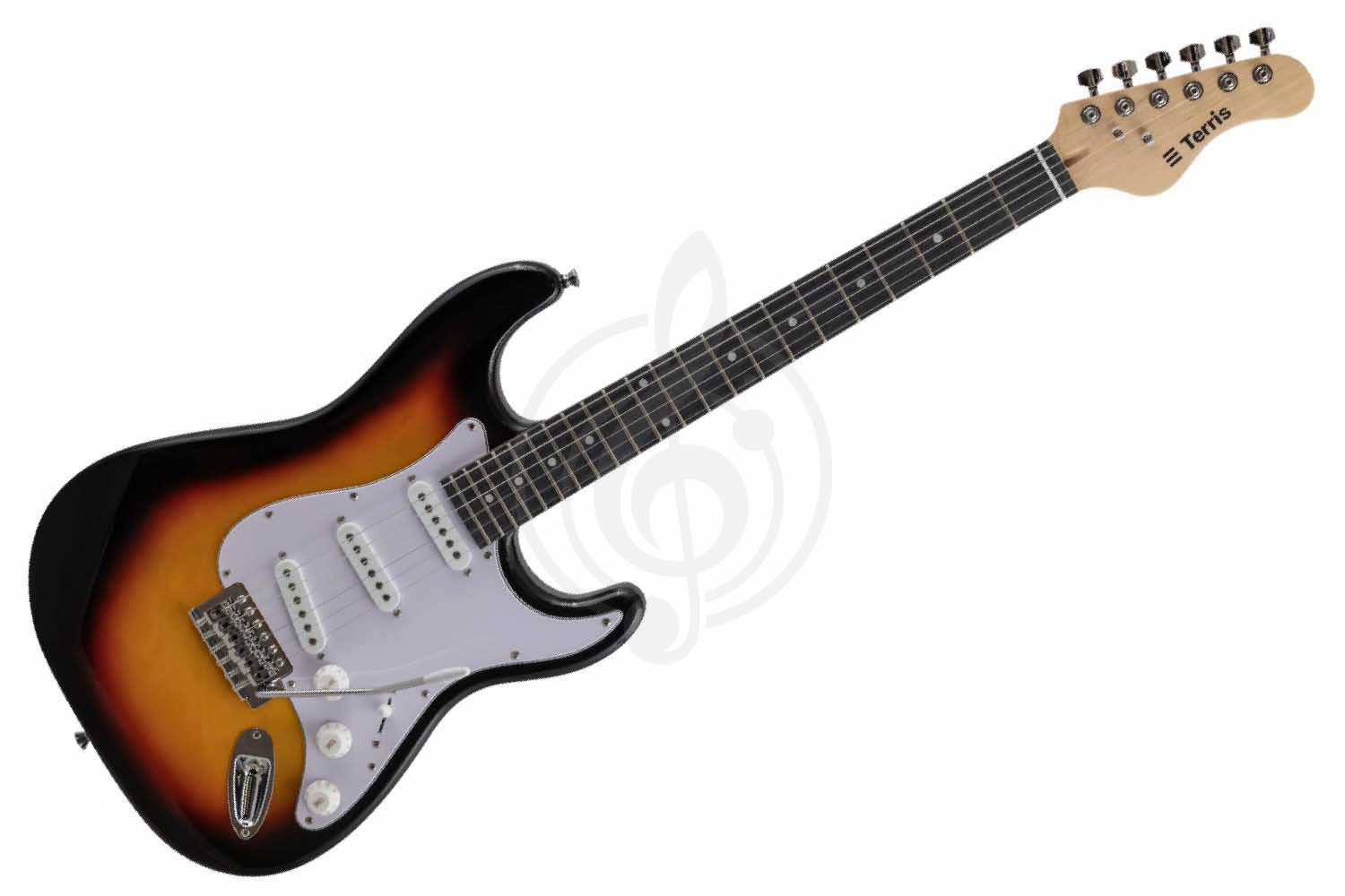 Электрогитара Stratocaster Terris TPACK-TST-040 SB - Комплект электрогитары, Terris TPACK-TST-040 SB в магазине DominantaMusic - фото 1