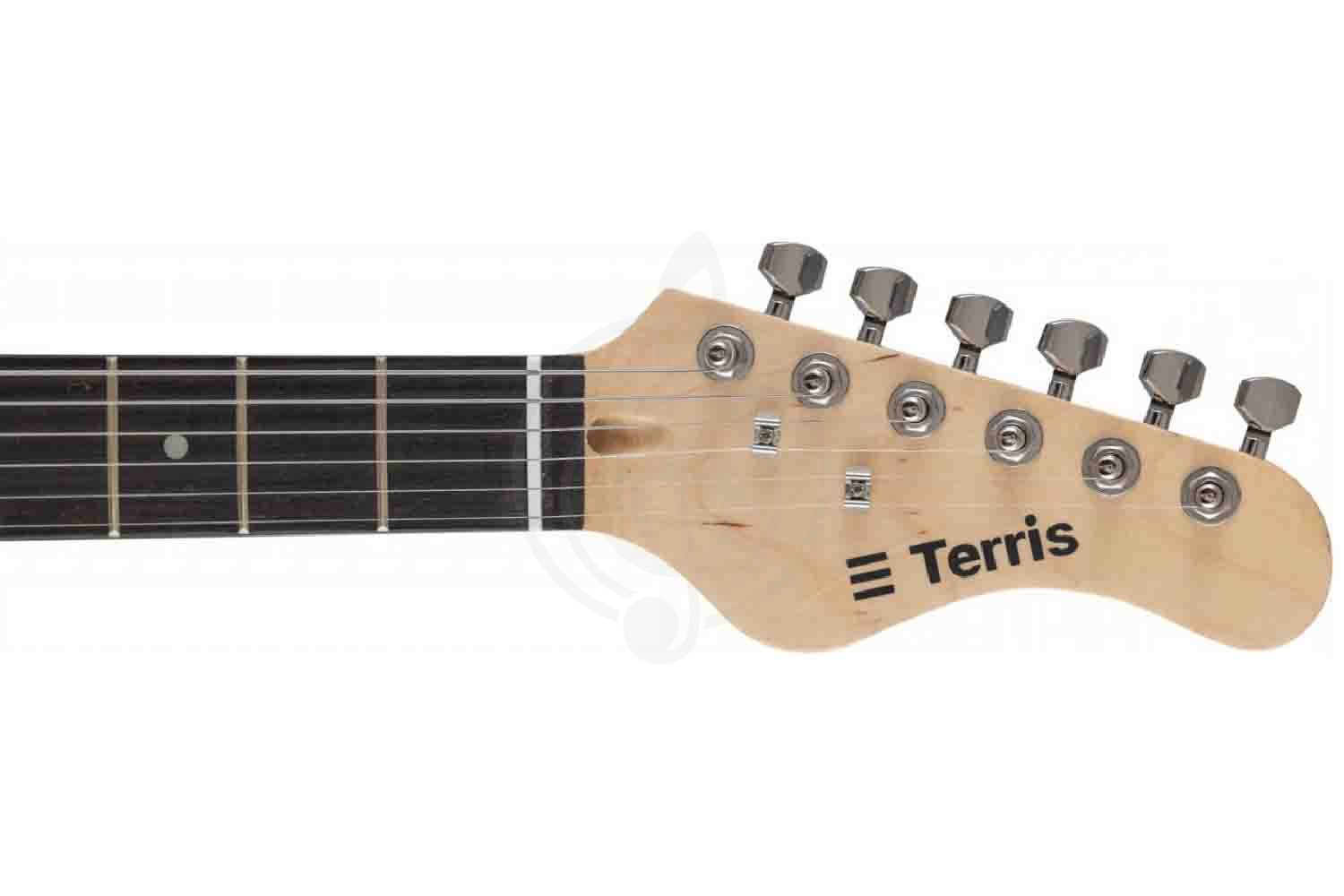 Электрогитара Stratocaster Terris TPACK-TST-045 BK - Комплект электрогитары, Terris TPACK-TST-045 BK в магазине DominantaMusic - фото 21