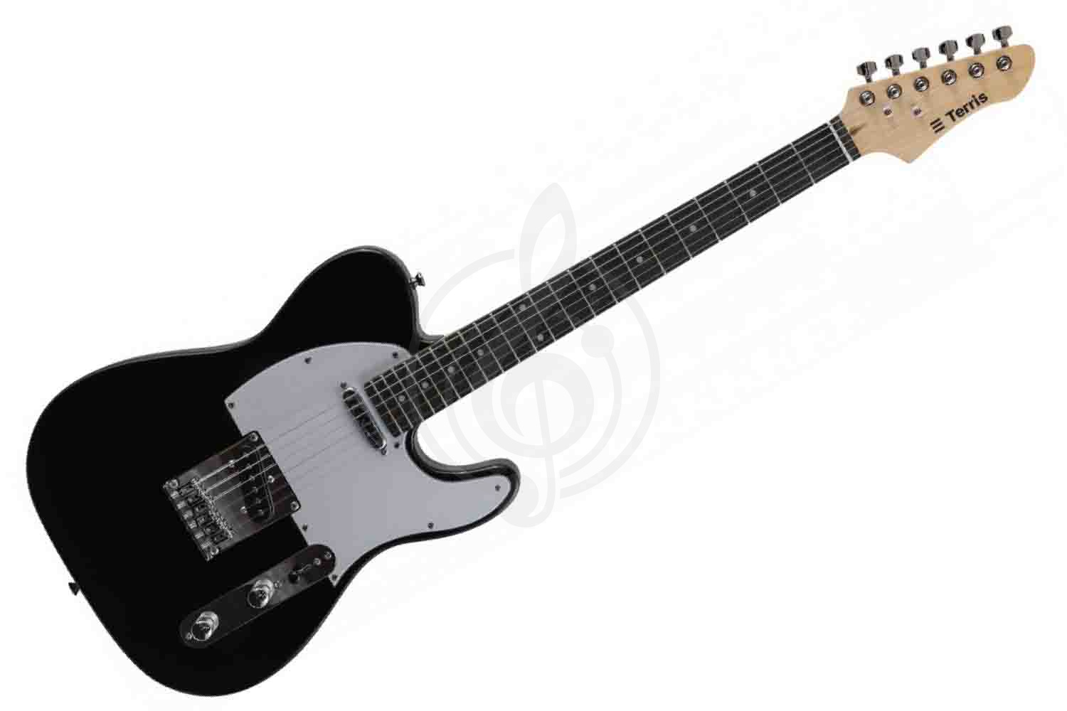 Электрогитара Telecaster Terris TTL-045 BK - Электрогитара, Terris TTL-045 BK в магазине DominantaMusic - фото 1