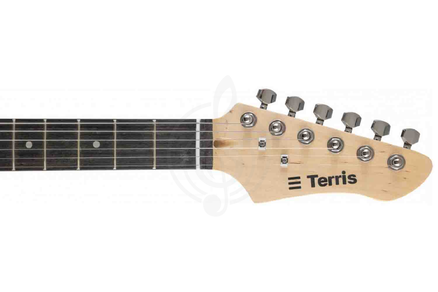 Электрогитара Telecaster Terris TTL-045 BK - Электрогитара, Terris TTL-045 BK в магазине DominantaMusic - фото 3