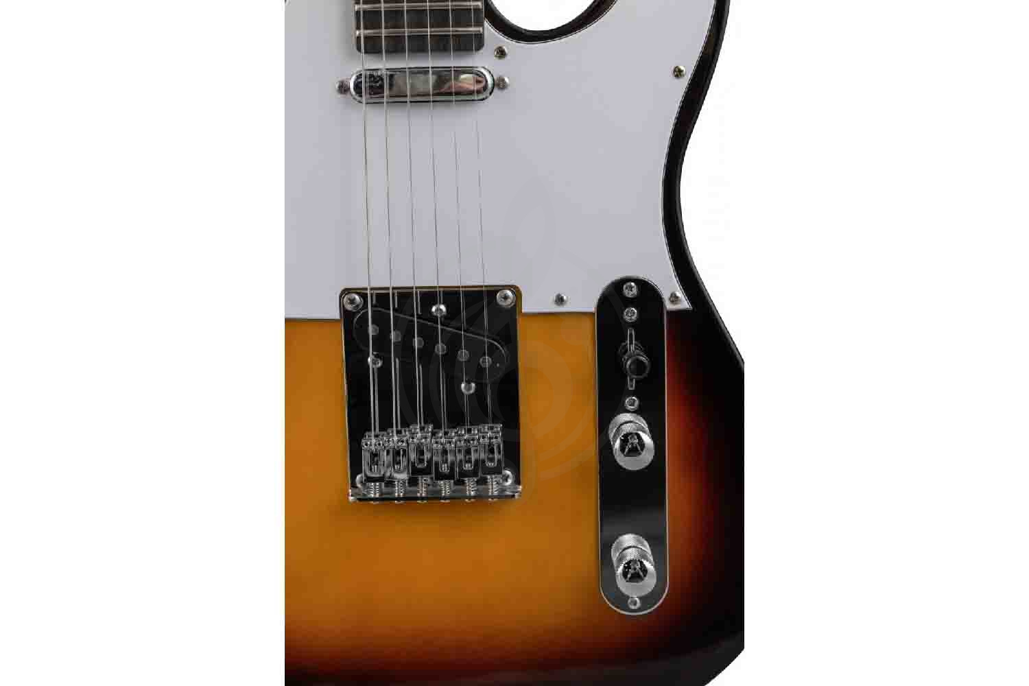 Электрогитара Telecaster Terris TTL-045 SB - Электрогитара, Terris TTL-045 SB в магазине DominantaMusic - фото 8