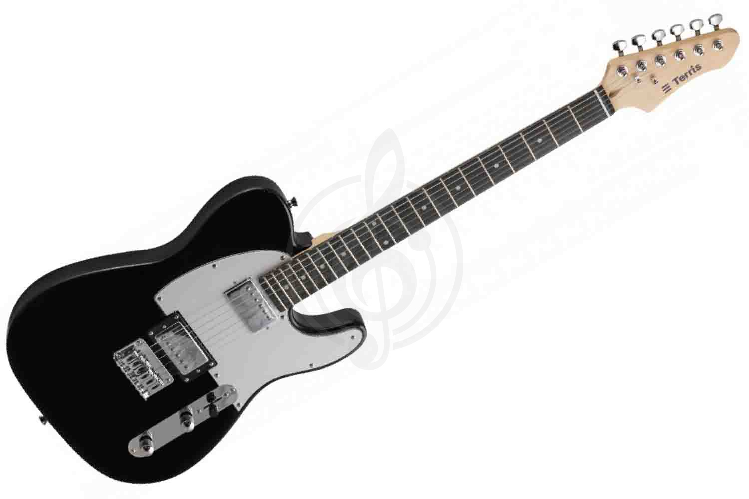 Электрогитара Telecaster TERRIS TTL-145 BK - Электрогитара, Terris TTL-145 BK в магазине DominantaMusic - фото 1