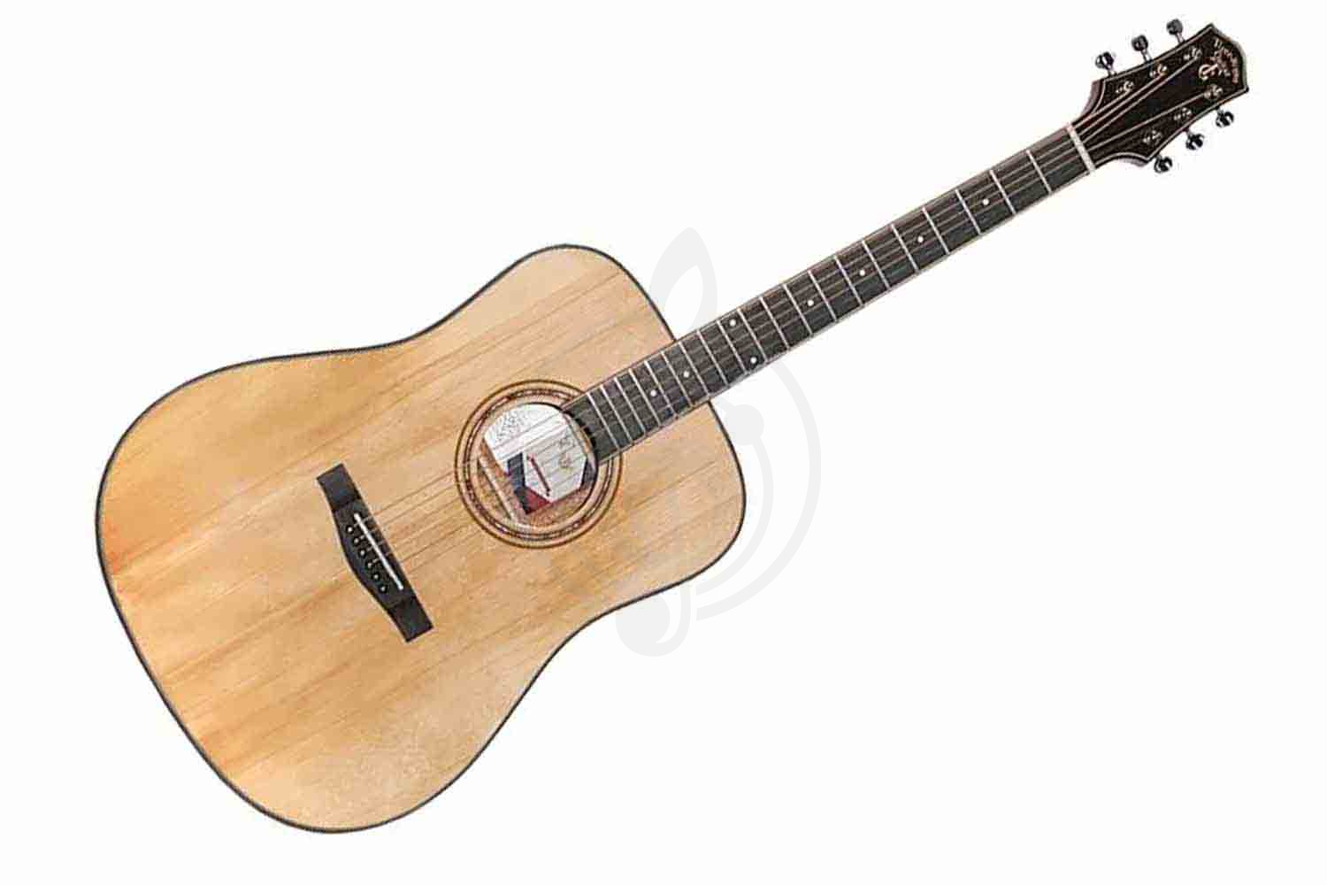 Трансакустическая гитара TIGER T-1 D-GGP NS - Трансакустическая гитара, TIGER T-1 D-GGP NS в магазине DominantaMusic - фото 1