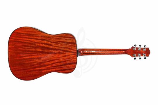 Акустическая гитара TIGER T-1 D-NS - Акустическая гитара,  T-1 D-NS в магазине DominantaMusic - фото 3