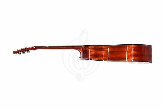 Акустическая гитара TIGER T-1 D-NS - Акустическая гитара,  T-1 D-NS в магазине DominantaMusic - фото 7
