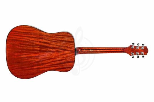 Акустическая гитара TIGER T-1 D-TBK - Акустическая гитара,  T-1 D-TBK в магазине DominantaMusic - фото 2