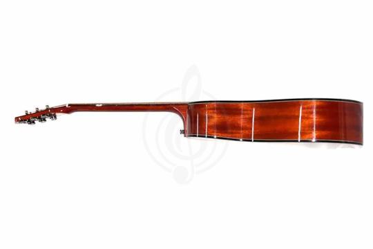 Акустическая гитара TIGER T-1 D-TBK - Акустическая гитара,  T-1 D-TBK в магазине DominantaMusic - фото 4