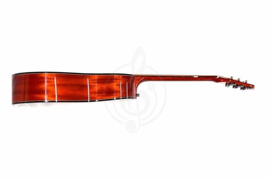 Акустическая гитара TIGER T-1 D-TBK - Акустическая гитара,  T-1 D-TBK в магазине DominantaMusic - фото 5