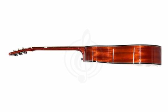 Акустическая гитара TIGER T-1 DC-NS - Акустическая гитара,  T-1 DC-NS в магазине DominantaMusic - фото 4