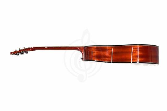 Акустическая гитара TIGER T-1 DC-TBK - Акустическая гитара,  T-1 DC-TBK в магазине DominantaMusic - фото 3