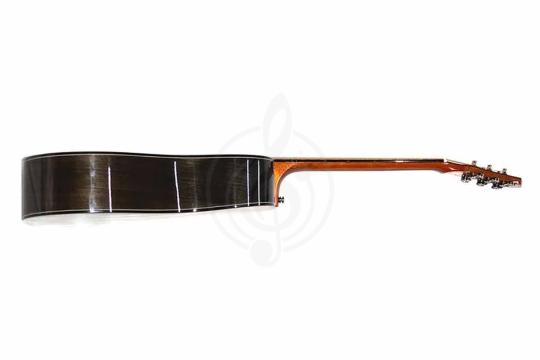 Акустическая гитара TIGER TG-30 D - Акустическая гитара,  TG-30 D в магазине DominantaMusic - фото 6