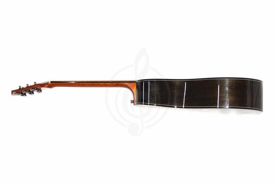Акустическая гитара TIGER TG-30 D - Акустическая гитара,  TG-30 D в магазине DominantaMusic - фото 7