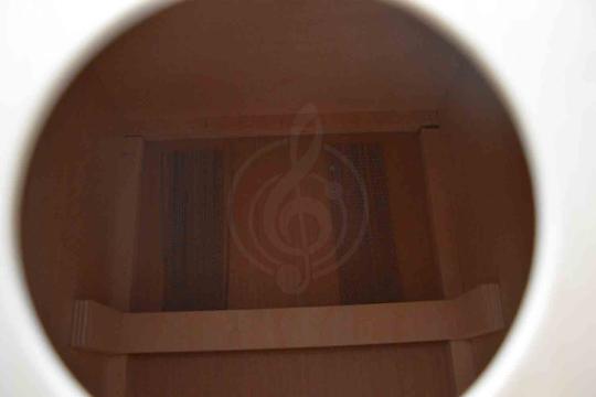 Кахон TJW HE1354HT - Кахон, с чехлом, TJW HE1354HT в магазине Доминанта мьюзик - фото 2