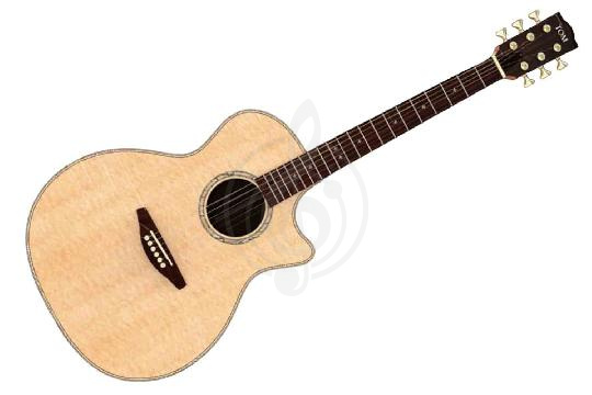 Изображение Трансакустическая гитара TOM GA-C3 EFX