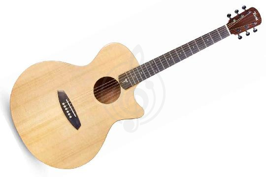 Изображение TOM GA-T1E - Электроакустическая гитара
