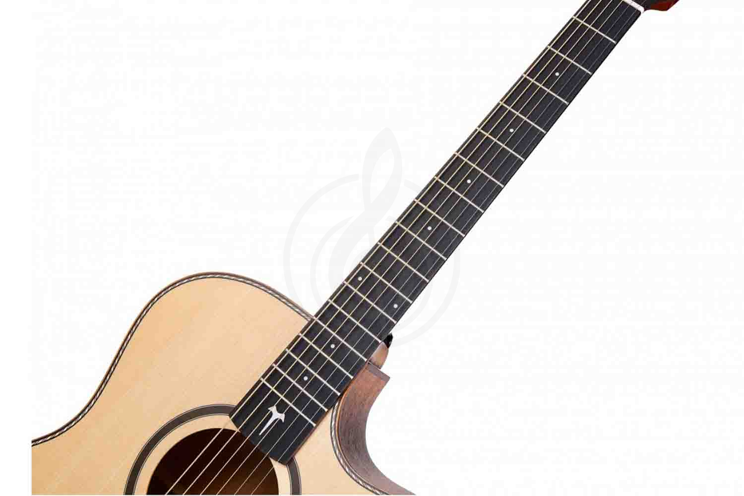 Акустическая гитара TOM GA-T1M - Акустическая гитара, TOM GA-T1M в магазине DominantaMusic - фото 15
