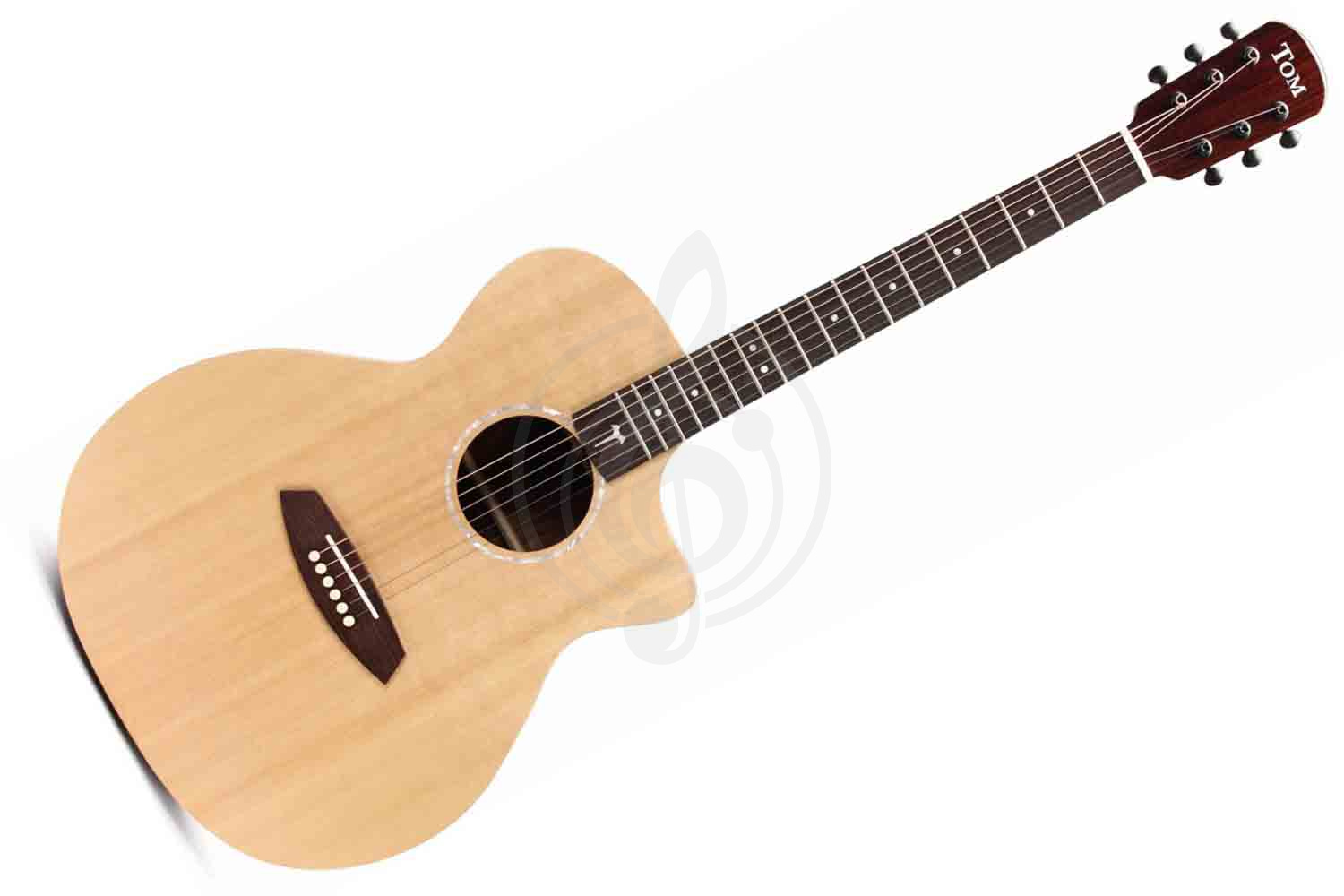 Электроакустическая гитара TOM GA-T1RE - Электроакустическая гитара, TOM GA-T1RE в магазине DominantaMusic - фото 1