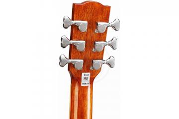 Акустическая гитара TOM GS-C2 - Акустическая гитара уменьшенная, TOM GS-C2 в магазине DominantaMusic - фото 2