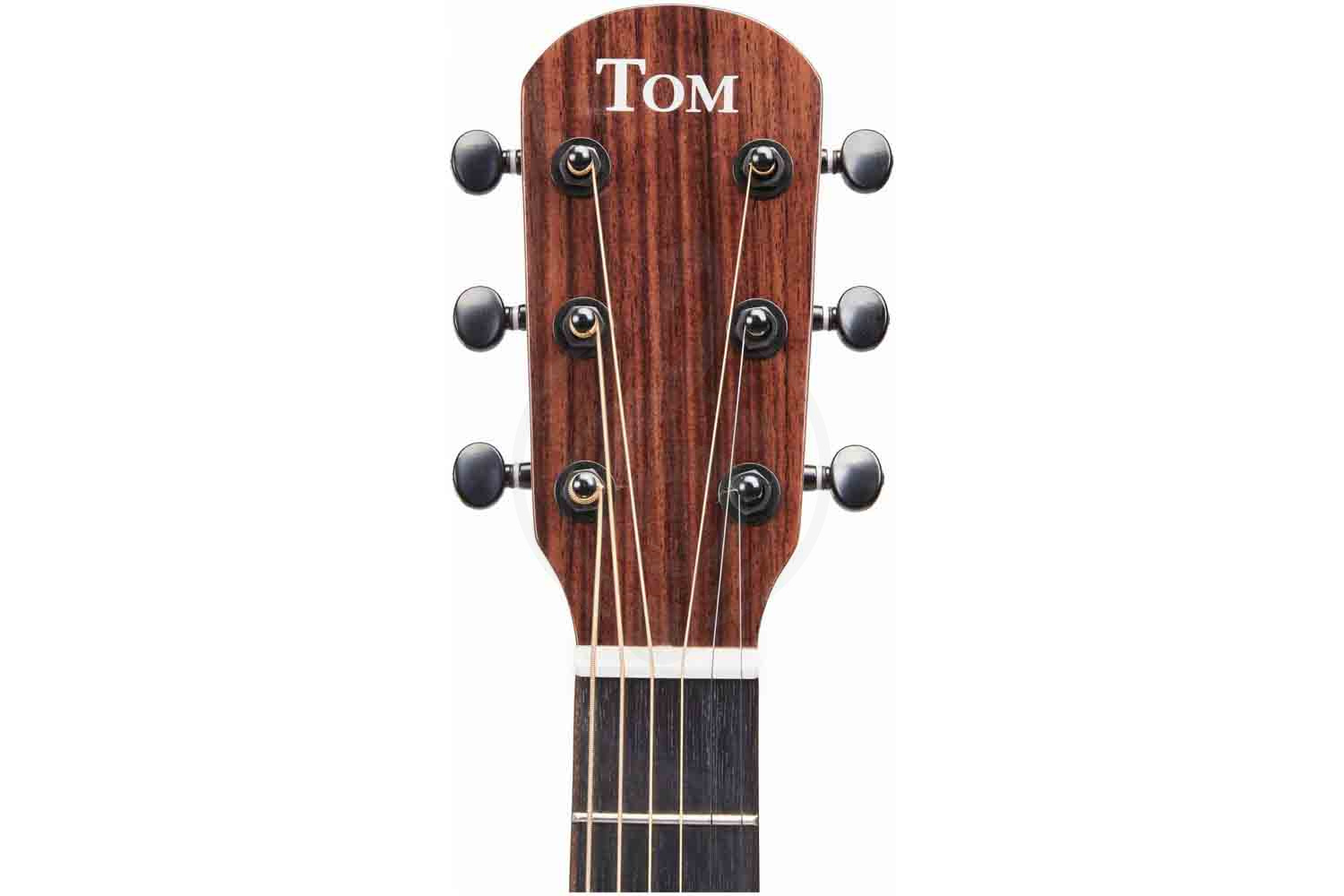 TOM GS-T1E - Электроакустическая гитара - фото 5 Электроакустическая гитара TOM GS-T1E - Электроакустическая гитара, GS-T1E в магазине DominantaMusic - фото 5