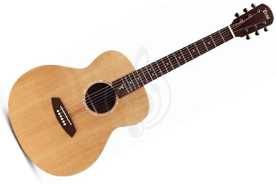 Изображение Акустическая гитара TOM GS-T1R