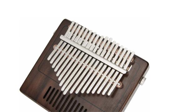 Калимба TOM TK-R1 E - Калимба, TOM TK-R1 E в магазине Доминанта мьюзик - фото 8