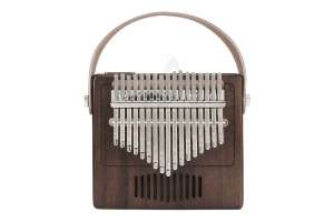 Изображение Калимба TOM TK-R1 E