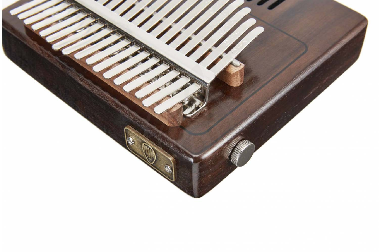 Калимба TOM TK-R1 E - Калимба, TOM TK-R1 E в магазине DominantaMusic - фото 3