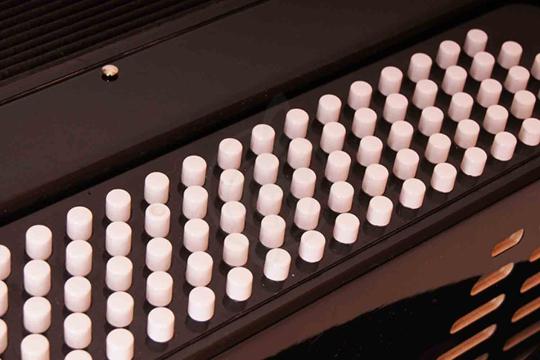 Баян Тульская гармонь BN-13 - Баян "Тула", Тульская Гармонь BN-13 (БН-13) в магазине Доминанта мьюзик - фото 4