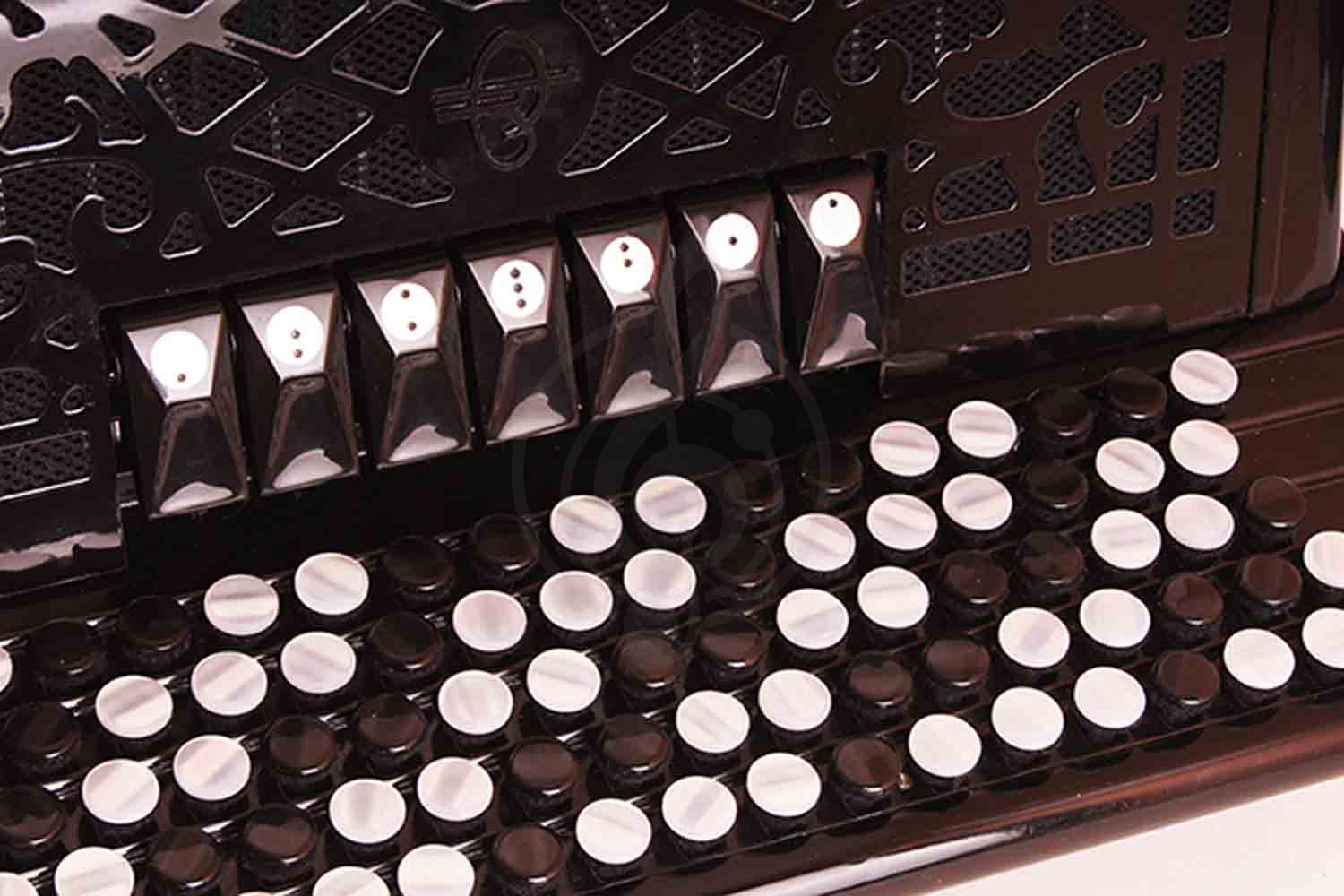 Баян Тульская гармонь BN-13 - Баян "Тула", Тульская Гармонь BN-13 (БН-13) в магазине Доминанта мьюзик - фото 2