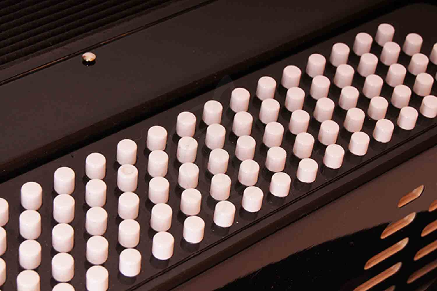 Баян Тульская гармонь BN-13 - Баян "Тула", Тульская Гармонь BN-13 (БН-13) в магазине Доминанта мьюзик - фото 4