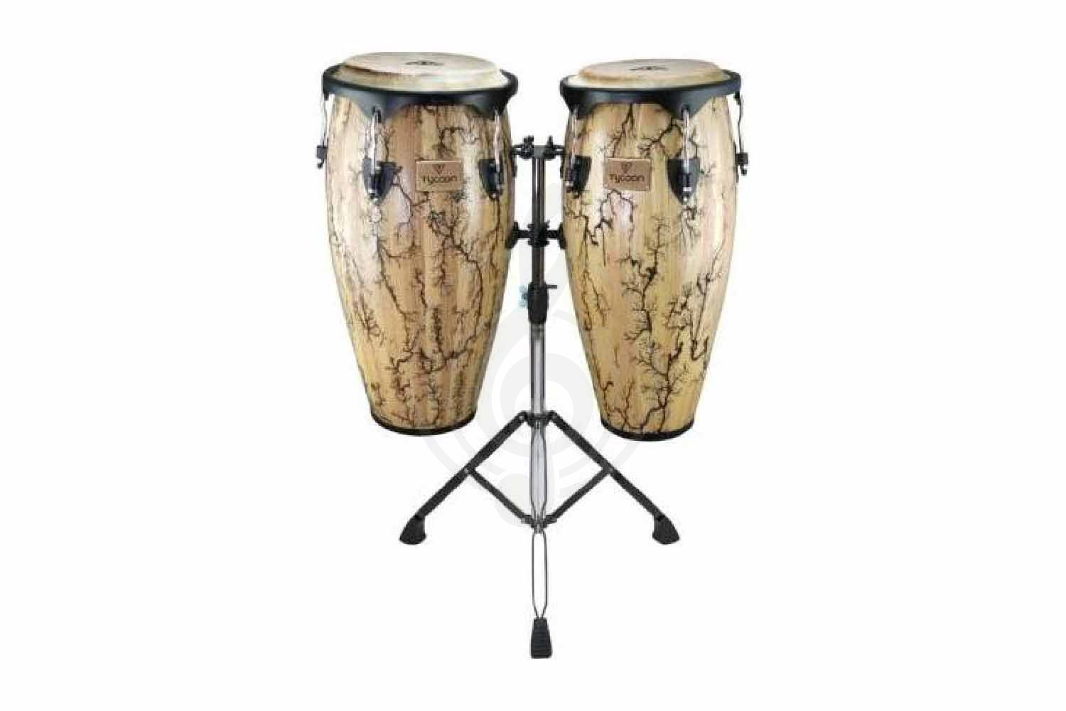  TYCOON STCS B WI/D Willow - Конго, TYCOON STCS B WI/D Willow в магазине DominantaMusic - фото 1