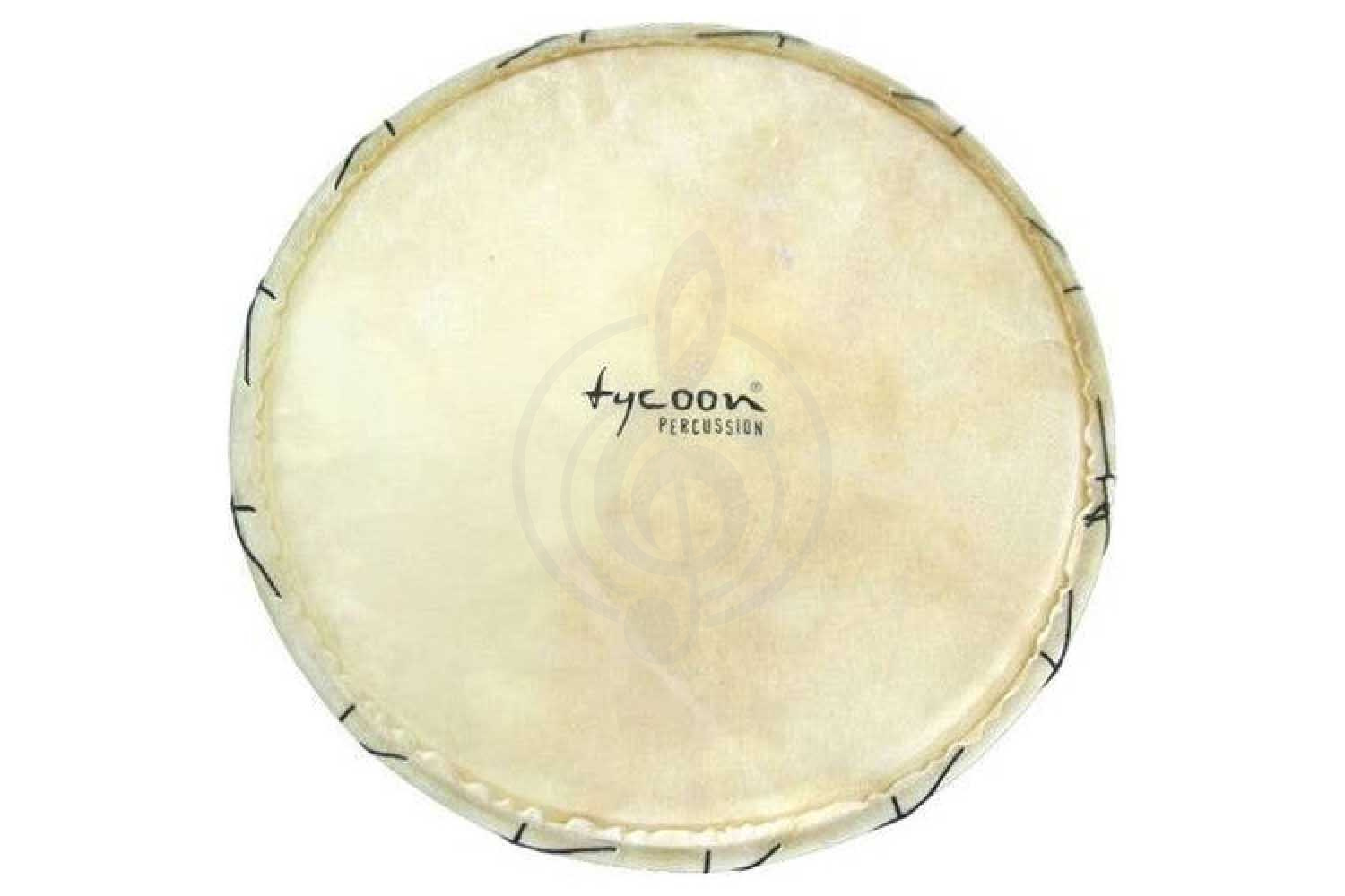  TYCOON TJS-RH130 - Мембрана для джембе,  TJS-RH130 в магазине DominantaMusic - фото 1