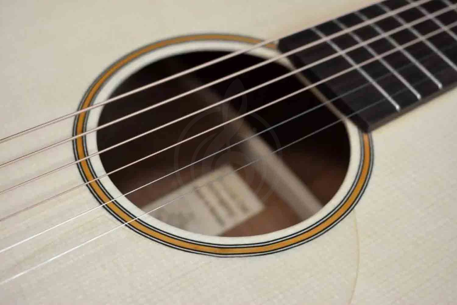 Акустическая гитара TYRONE BRONCE OM Ash - Акустическая гитара, TYRONE BRONCE OM Ash в магазине DominantaMusic - фото 5