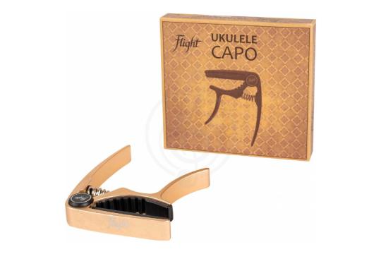 Укулеле сопрано VESTON UKULELE KUS 25 BUS dPACK 1 - Набор укулеле сопрано, VESTON UKULELE KUS 25 BUS dPACK 1 в магазине DominantaMusic - фото 2