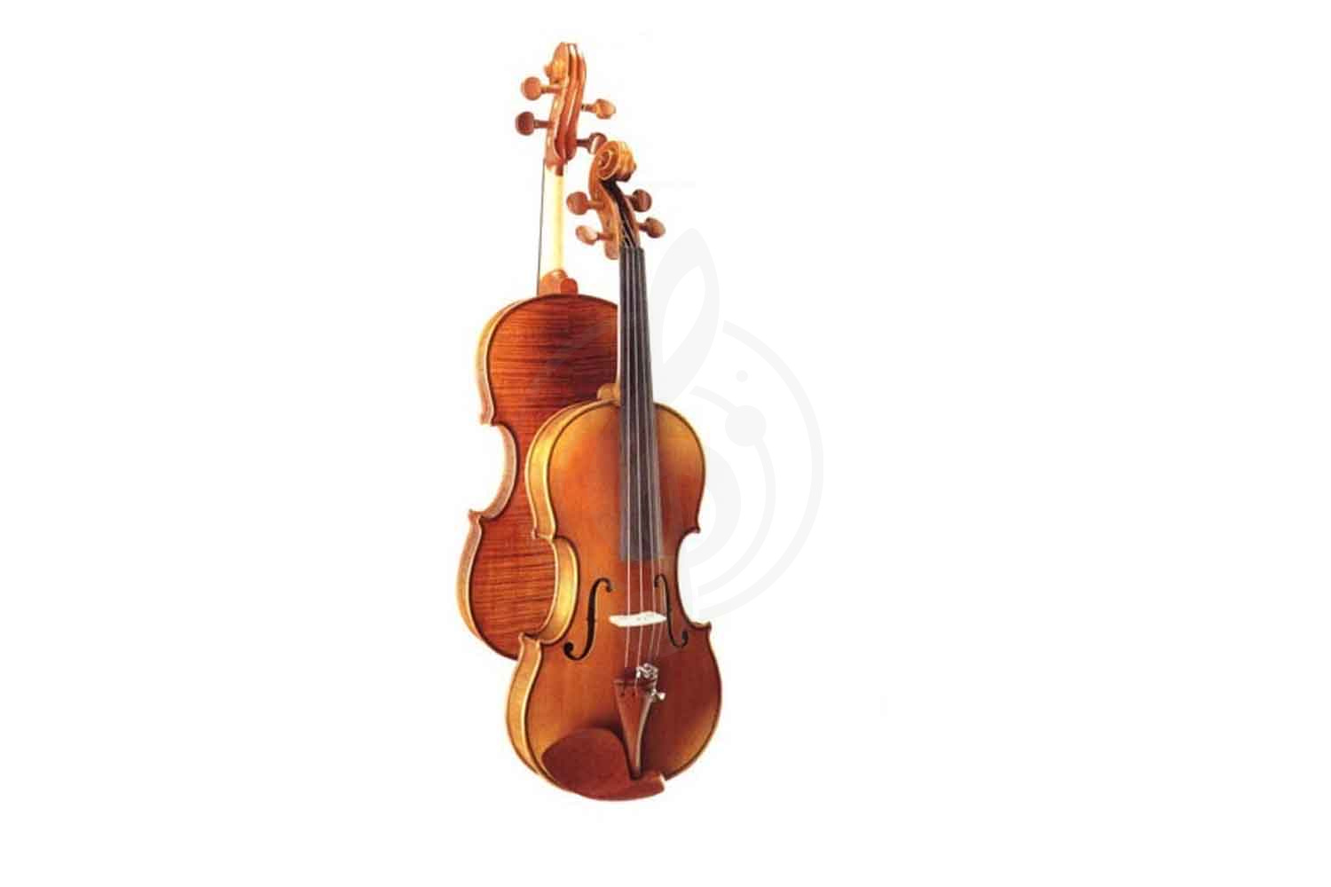 Скрипка 3/4 Скрипки 3/4 Vitoria VITORIA VV150-34 Скрипка 3/4 отборная ель/волнисты VV150-34 - фото 2