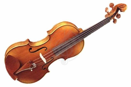 Скрипка 4/4 Скрипки 4/4 Vitoria VITORIA VV150-44 Скрипка 4/4 отборная ель/волнисты VV150-44 - фото 1